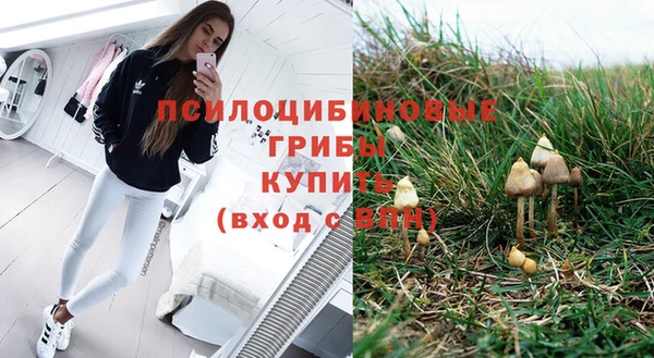 мдпв Арсеньев