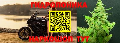 соль курить ск Аргун