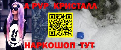прущие грибы Усть-Илимск